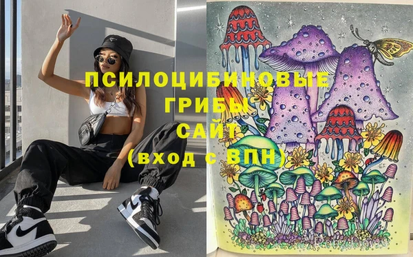а пвп мука Верея