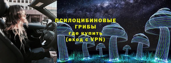 а пвп мука Верея