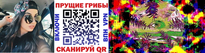 даркнет сайт  Домодедово  Псилоцибиновые грибы мухоморы 
